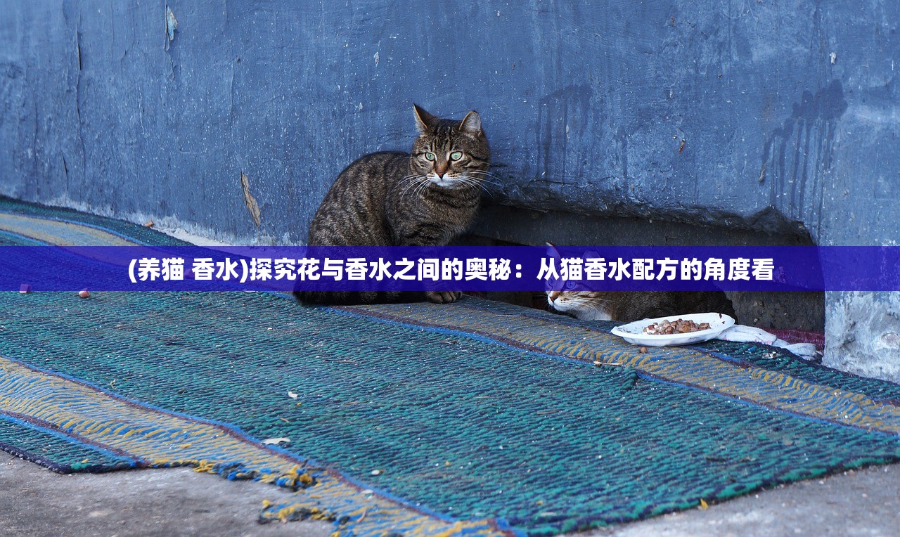 (养猫 香水)探究花与香水之间的奥秘：从猫香水配方的角度看