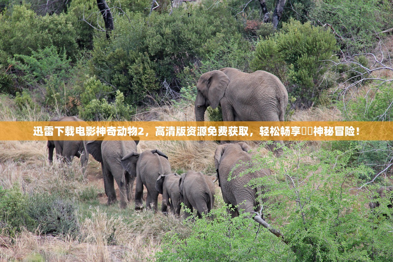 (空岛无限岩浆怎么做)探索无尽可能性的经典空岛生存攻略大全