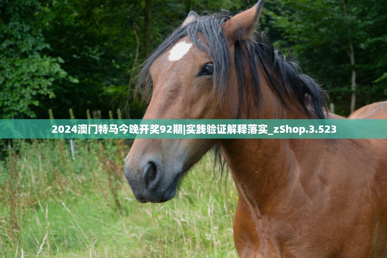 2024澳门特马今晚开奖92期|实践验证解释落实_zShop.3.523