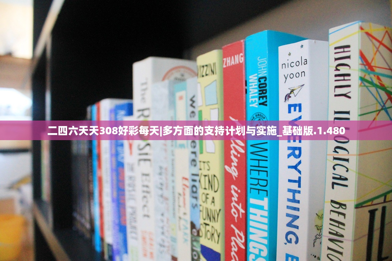 二四六天天308好彩每天|多方面的支持计划与实施_基础版.1.480